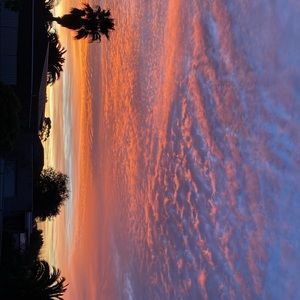 Meet your Posher, Dani